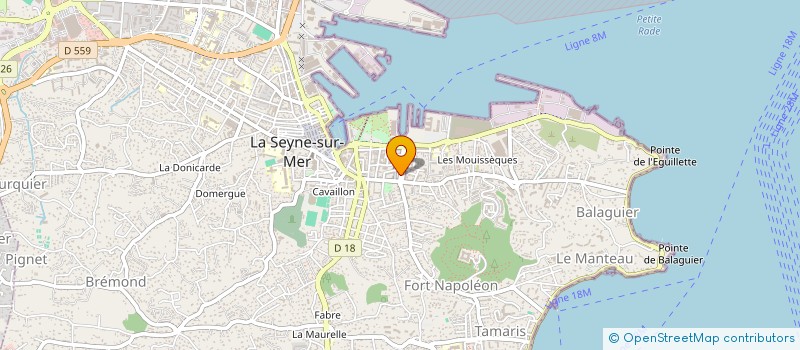 localisation de l'entreprise MONSIEUR JEAN CORTES  LA SEYNE-SUR-MER