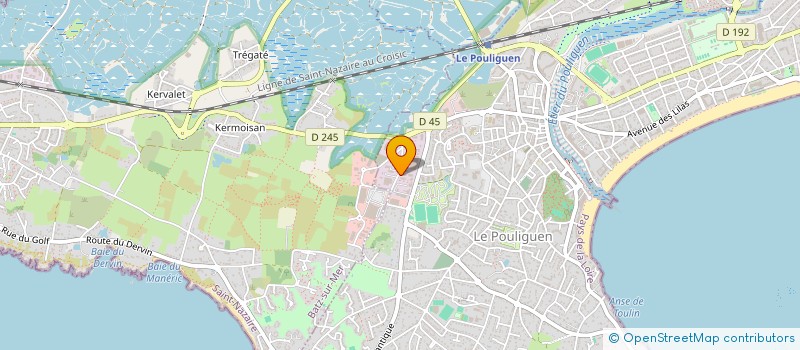 localisation de l'entreprise MONSIEUR JEAN DALINO  LE POULIGUEN