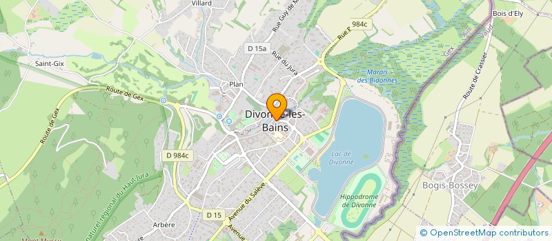 localisation de l'entreprise MONSIEUR JEAN DALLEMAGNE  DIVONNE-LES-BAINS