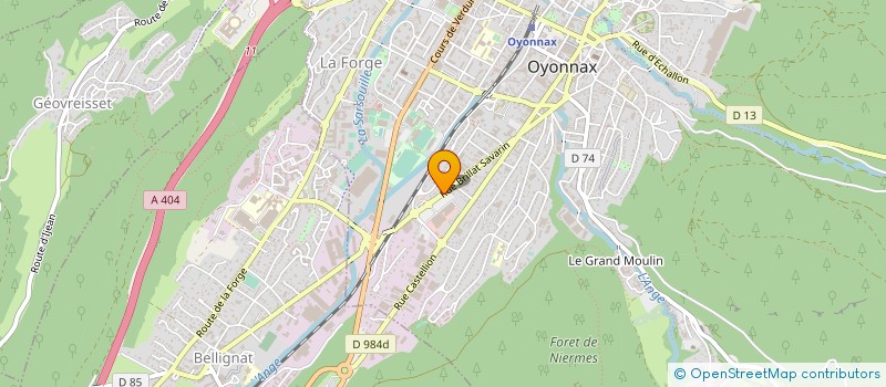 localisation de l'entreprise MONSIEUR JEAN DECARNIN à OYONNAX
