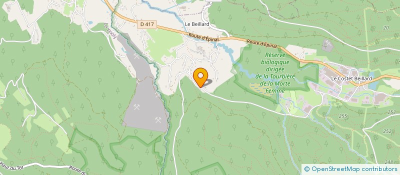 localisation de l'entreprise MONSIEUR JEAN DEFRANOUX  GERARDMER