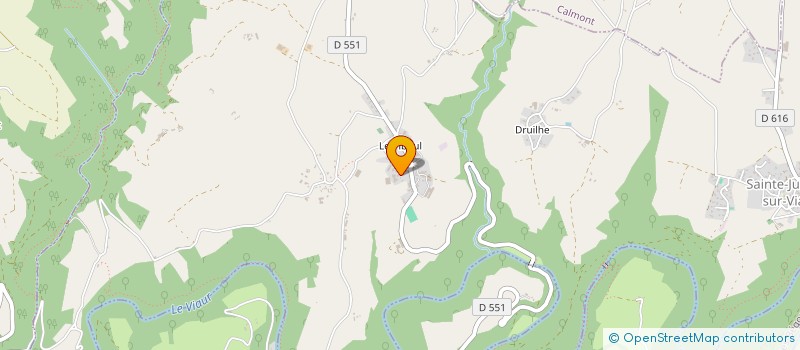 localisation de l'entreprise MONSIEUR JEAN DELANCE  SAINTE-JULIETTE-SUR-VIAUR