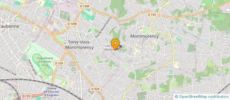 localisation de l'entreprise MONSIEUR JEAN DELASSUS à MONTMORENCY