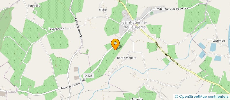 localisation de l'entreprise MONSIEUR JEAN DELLANDES à SAINT-ETIENNE-DE-FOUGERES