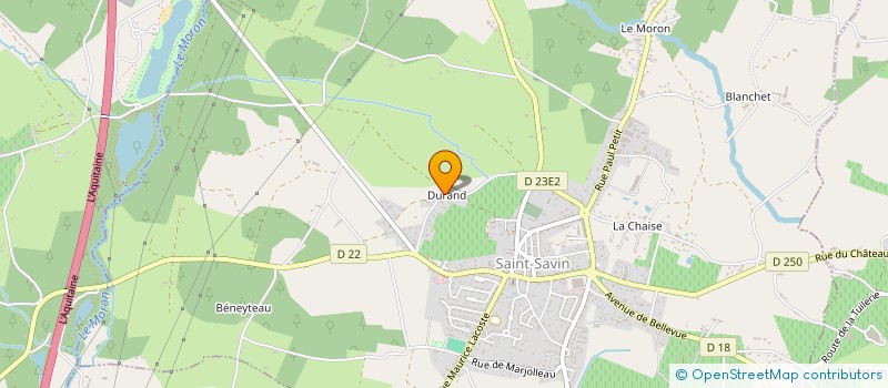 localisation de l'entreprise MONSIEUR JEAN DELMAS  SAINT-SAVIN