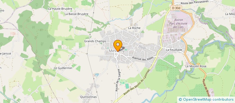 localisation de l'entreprise MONSIEUR JEAN DELORME à THURINS