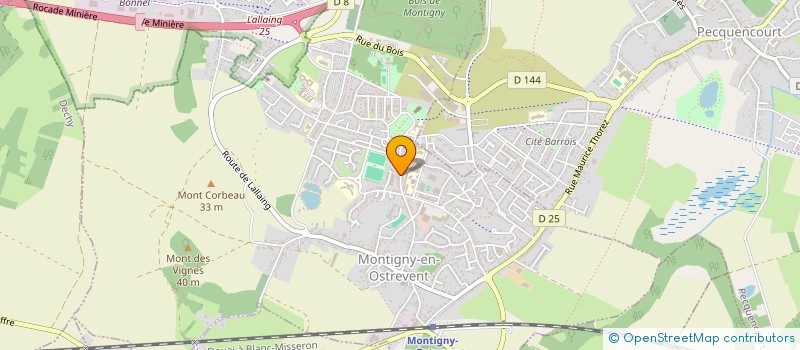 localisation de l'entreprise MONSIEUR JEAN DELZENNE à MONTIGNY-EN-OSTREVENT
