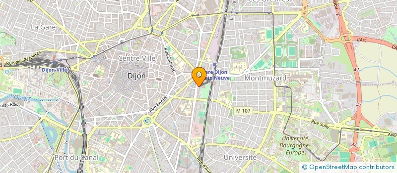 localisation de l'entreprise MONSIEUR JEAN DEMAIZIERES  DIJON