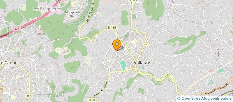 localisation de l'entreprise MONSIEUR JEAN DERVAL à VALLAURIS