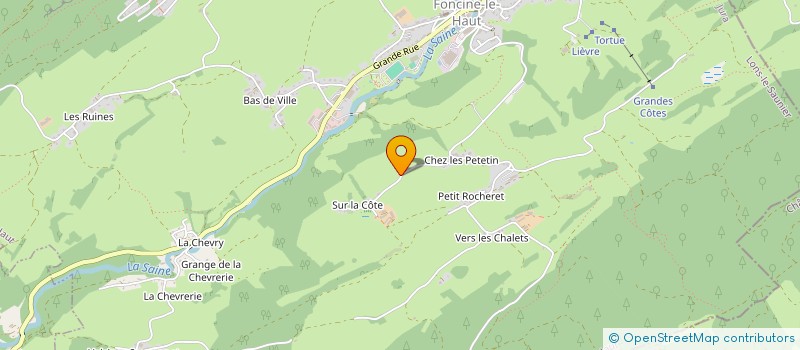 localisation de l'entreprise MONSIEUR JEAN DESSERTENNE  FONCINE-LE-HAUT