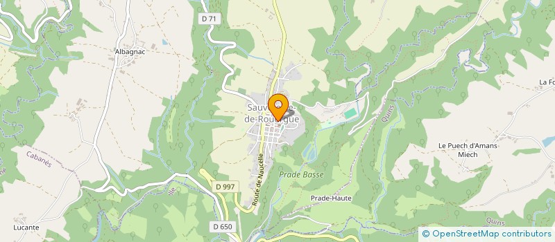 localisation de l'entreprise MONSIEUR JEAN DIZENGREMEL  SAUVETERRE-DE-ROUERGUE