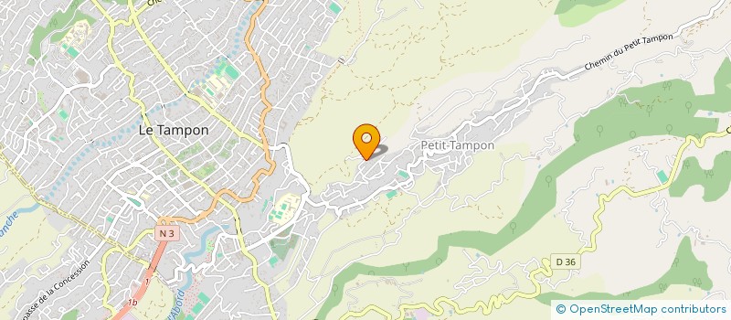 localisation de l'entreprise MONSIEUR JEAN DOMITILE  LE TAMPON