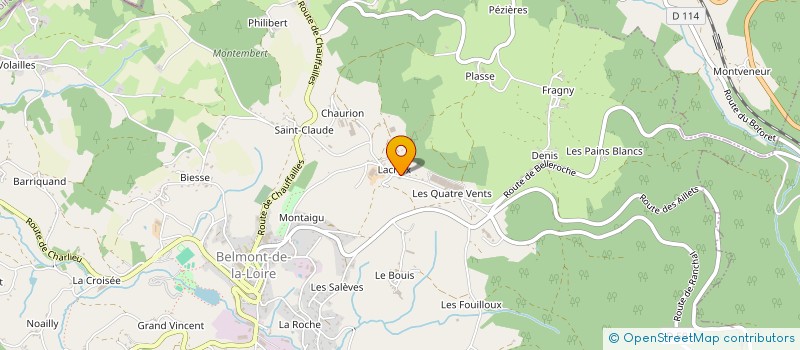 localisation de l'entreprise MONSIEUR JEAN DUBOUIS à BELMONT-DE-LA-LOIRE