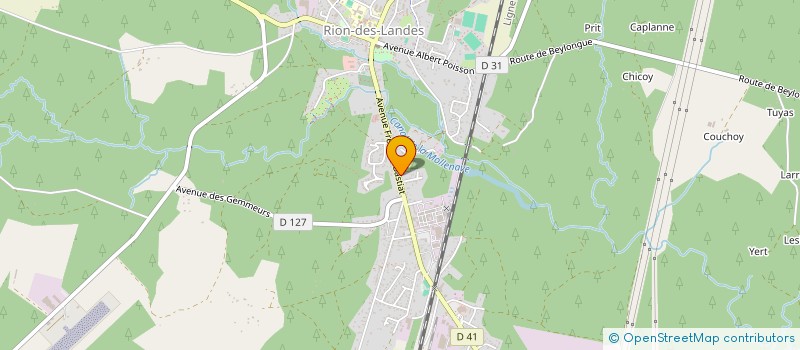 localisation de l'entreprise MONSIEUR JEAN DUMAS à RION-DES-LANDES