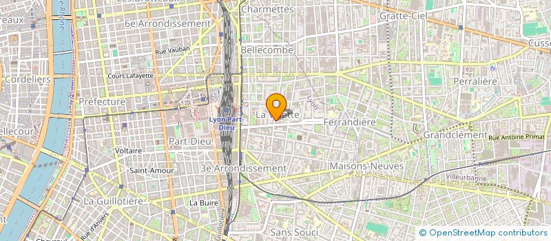 localisation de l'entreprise MONSIEUR JEAN EICHOLZ à LYON