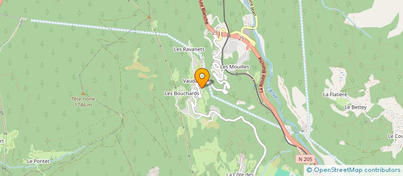 localisation de l'entreprise MONSIEUR JEAN EISENBERG  LES HOUCHES