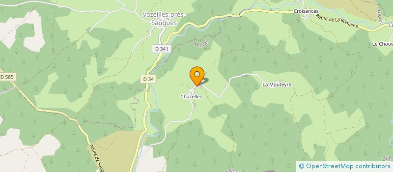 localisation de l'entreprise MONSIEUR JEAN ENJELVIN  SAUGUES