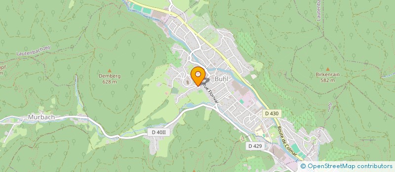 localisation de l'entreprise MONSIEUR JEAN ERNY  BUHL