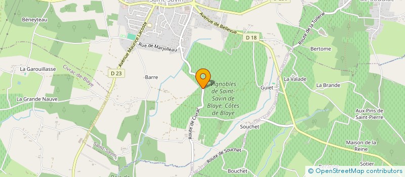 localisation de l'entreprise MONSIEUR JEAN ESPEAU  SAINT-SAVIN