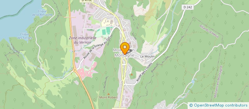 localisation de l'entreprise MONSIEUR JEAN FAGGION à MOIRANS-EN-MONTAGNE