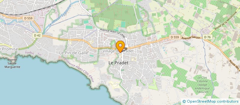 localisation de l'entreprise MONSIEUR JEAN FERNANDEZ  LE PRADET