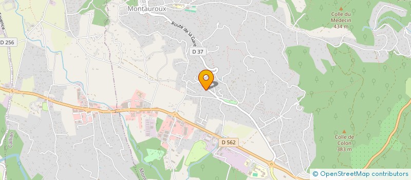 localisation de l'entreprise MONSIEUR JEAN FERRER Y SANTA CREU à MONTAUROUX