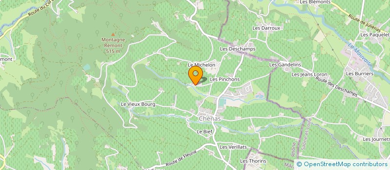 localisation de l'entreprise MONSIEUR JEAN FOUILLET à CHENAS