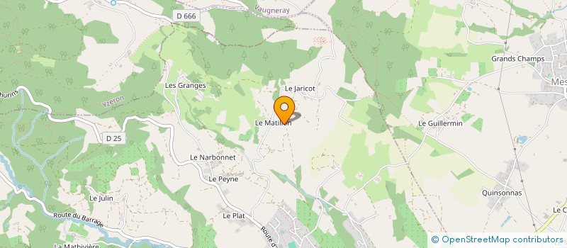 localisation de l'entreprise MONSIEUR JEAN FOURNEL  THURINS