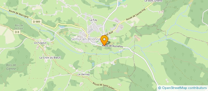 localisation de l'entreprise MONSIEUR JEAN-FRANCOIS BUISSON  SAINT-JULIEN-DE-JONZY