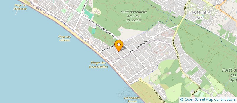 localisation de l'entreprise MONSIEUR JEAN-FRANCOIS DELVILLE  SAINT-JEAN-DE-MONTS