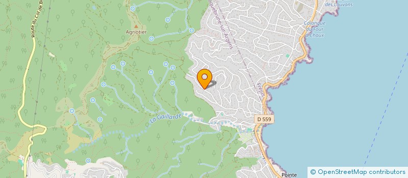 localisation de l'entreprise MONSIEUR JEAN-FRANCOIS DUBOIS  ROQUEBRUNE-SUR-ARGENS