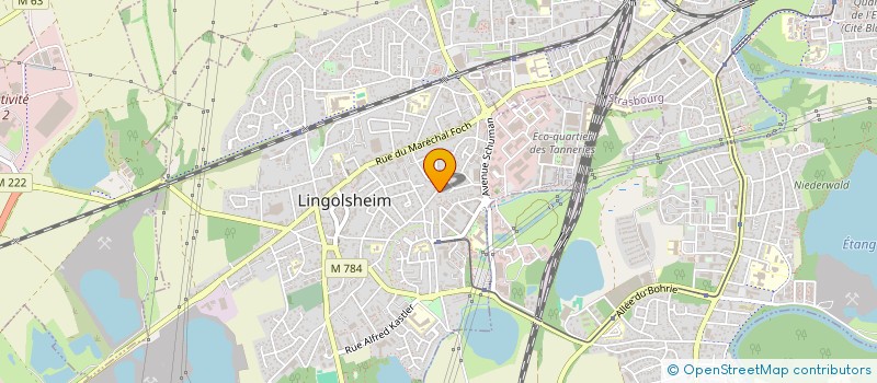 localisation de l'entreprise MONSIEUR JEAN-FRANCOIS FLIELLER  LINGOLSHEIM