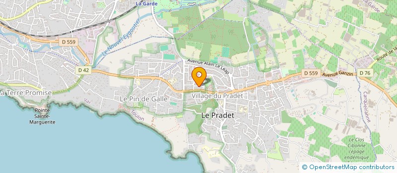 localisation de l'entreprise MONSIEUR JEAN-FRANCOIS IRAGNE  LE PRADET