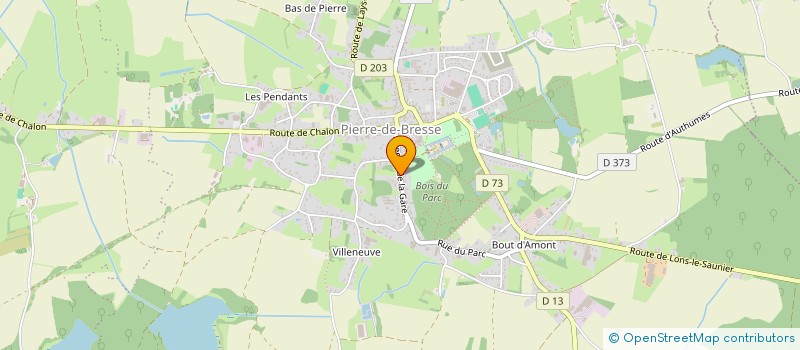 localisation de l'entreprise MONSIEUR JEAN-FRANCOIS MANGIN  PIERRE-DE-BRESSE