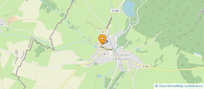 localisation de l'entreprise MONSIEUR JEAN-FRANCOIS MOUROT  PASSAVANT-LA-ROCHERE