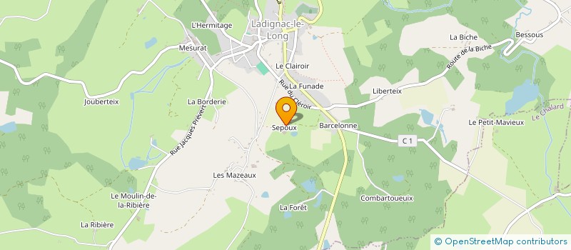 localisation de l'entreprise MONSIEUR JEAN-FRANCOIS NARDOT à LADIGNAC-LE-LONG