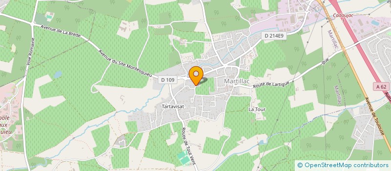 localisation de l'entreprise MONSIEUR JEAN-FRANCOIS NERE  MARTILLAC