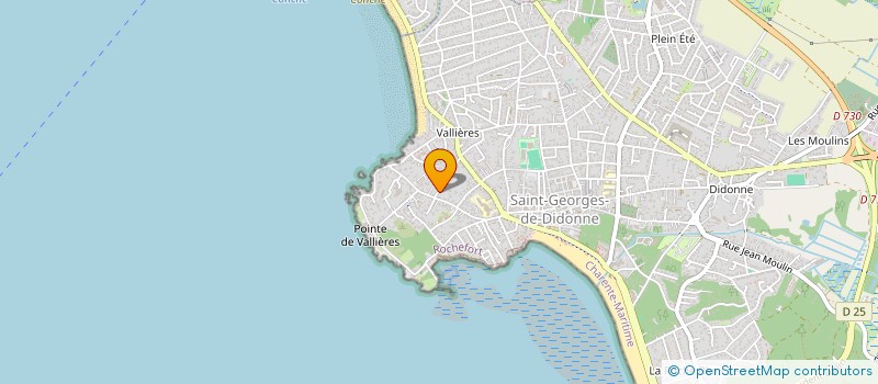 localisation de l'entreprise MONSIEUR JEAN-FRANCOIS NEUFCOEUR  SAINT-GEORGES-DE-DIDONNE