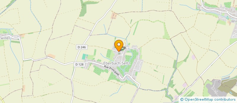 localisation de l'entreprise MONSIEUR JEAN FRANCOIS WALTER  EBERBACH-SELTZ