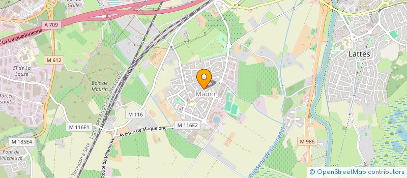 localisation de l'entreprise MONSIEUR JEAN FUENTES à LATTES