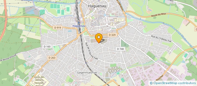 localisation de l'entreprise MONSIEUR JEAN-GEORGES ARBOGAST  HAGUENAU