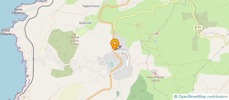 localisation de l'entreprise MONSIEUR JEAN GONIN  CALVI