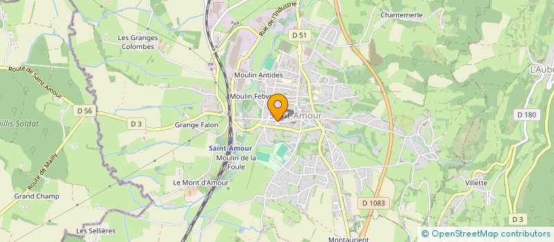 localisation de l'entreprise MONSIEUR JEAN GROS  SAINT-AMOUR