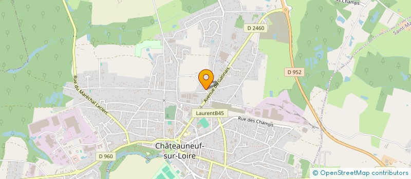 localisation de l'entreprise MONSIEUR JEAN GUERDY BLANC à CHATEAUNEUF-SUR-LOIRE