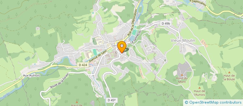 localisation de l'entreprise MONSIEUR JEAN GUIDAT  SENONES