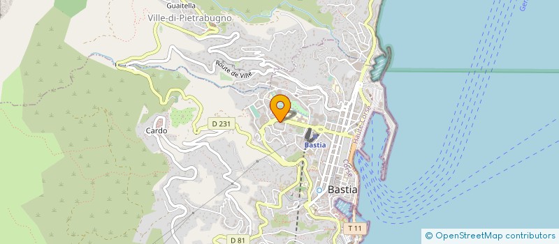 localisation de l'entreprise MONSIEUR JEAN GUIDICELLI à BASTIA