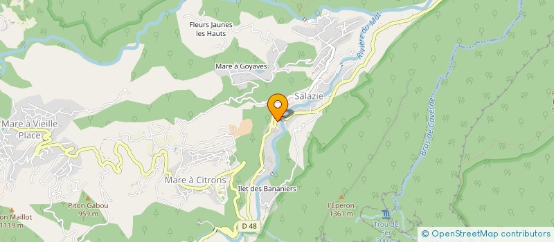 localisation de l'entreprise MONSIEUR JEAN HENRI  SALAZIE