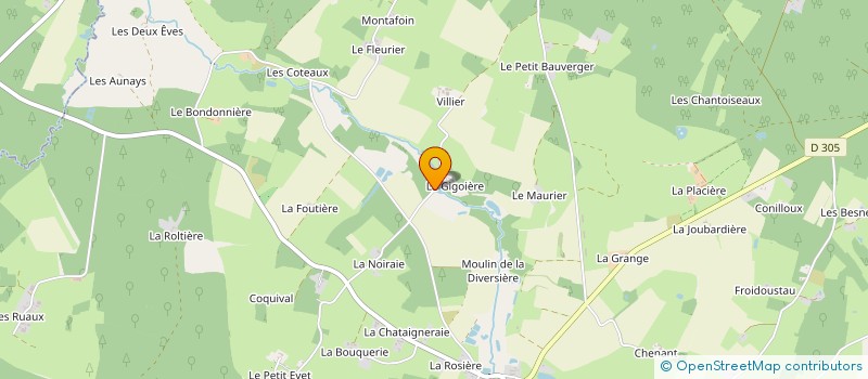 localisation de l'entreprise MONSIEUR JEAN HODEAU à SAVIGNE SOUS LE LUDE