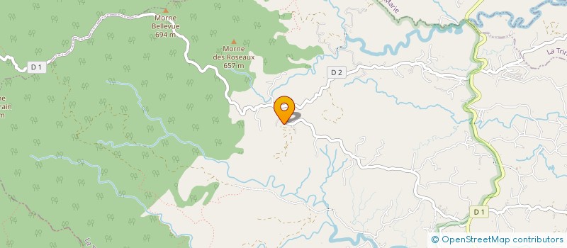 localisation de l'entreprise MONSIEUR JEAN-HUGUES AUDINAY  GROS-MORNE