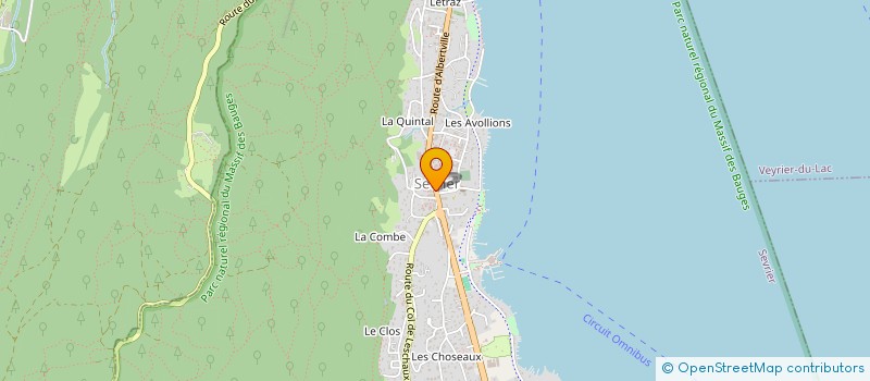 localisation de l'entreprise MONSIEUR JEAN IAHNS  SEVRIER